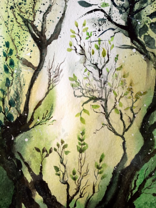 ענפי עץ בזריחה