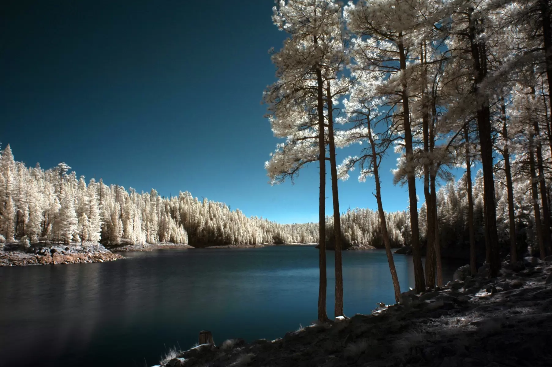 האגם - רן זיסוביץ - נופים יפים  - מק''ט: 138629