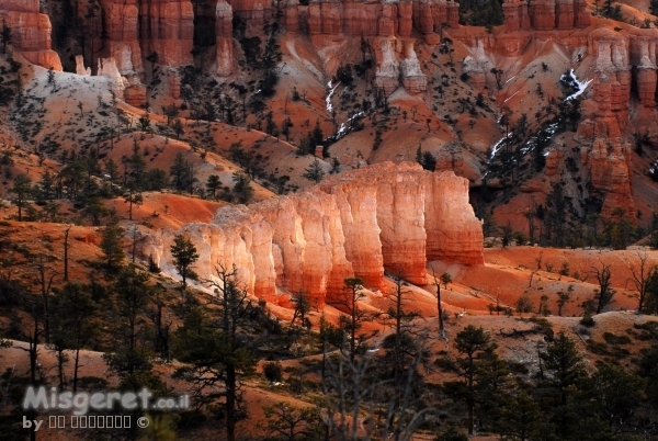 ברייס קניון