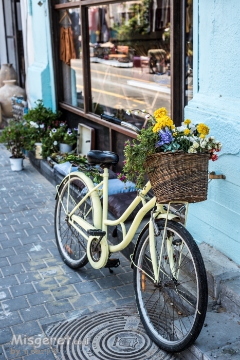 אופניים פרחוניות
