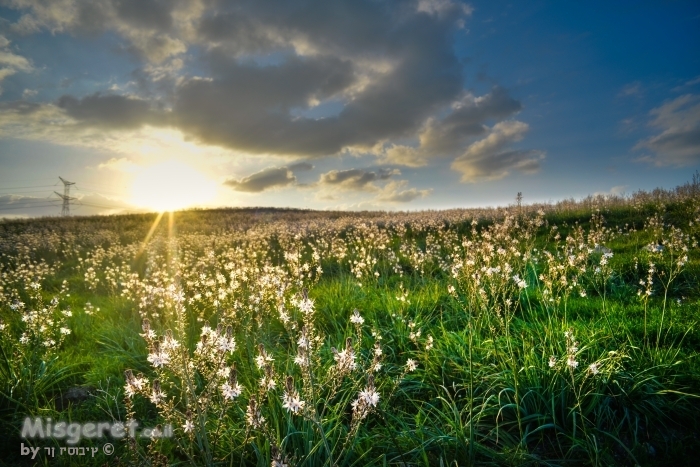 עיריות בשקיעה
