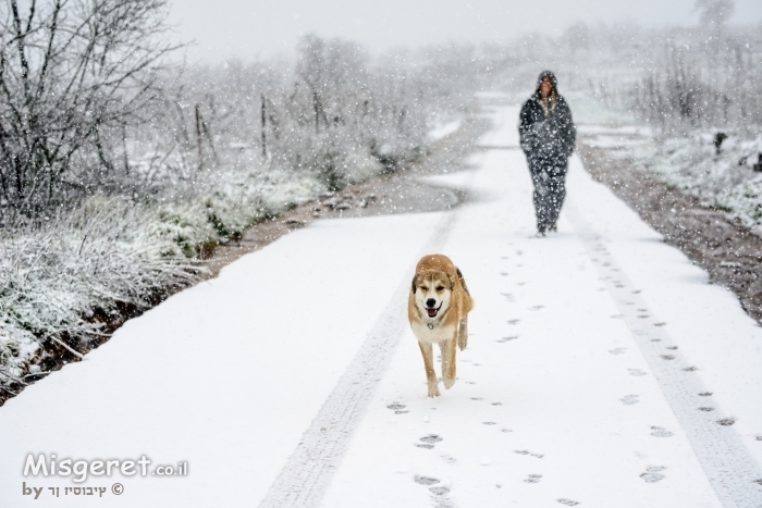 טיול בשלג