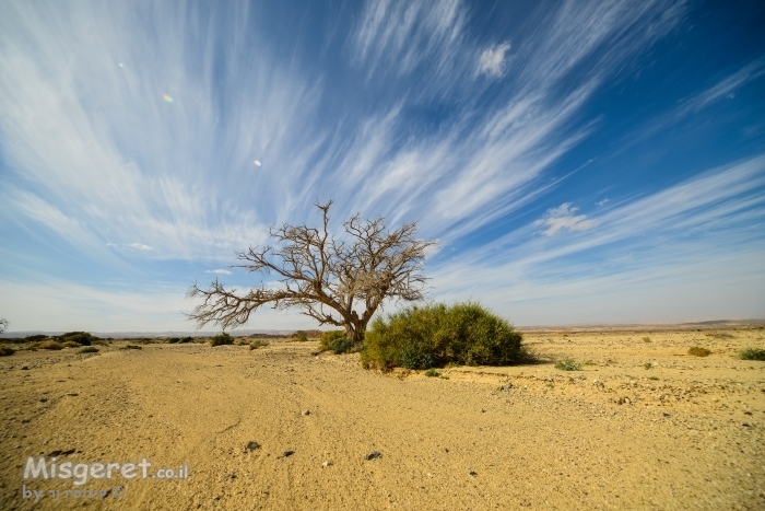 ציור בשמיים