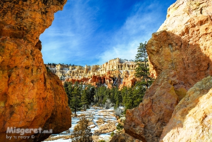 ברייס קניון