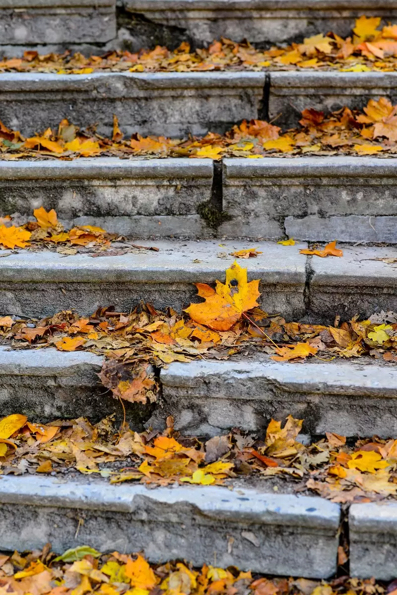 מדרגות השלכת - רן זיסוביץ - טבע דומם בצילום  - מק''ט: 400846