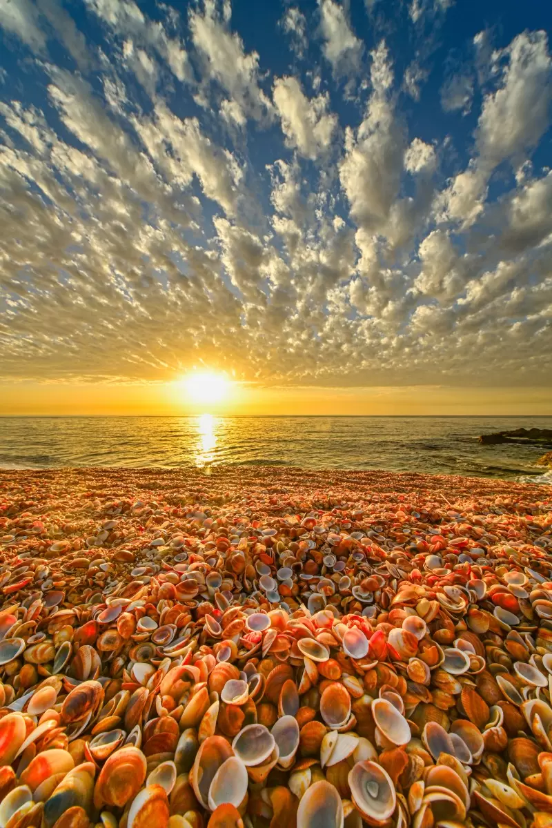 חוף הצדפות - רן זיסוביץ - תמונות ים ושמים לסלון צילומים  - מק''ט: 464620