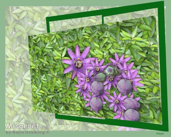 יוצא מהמסגרת