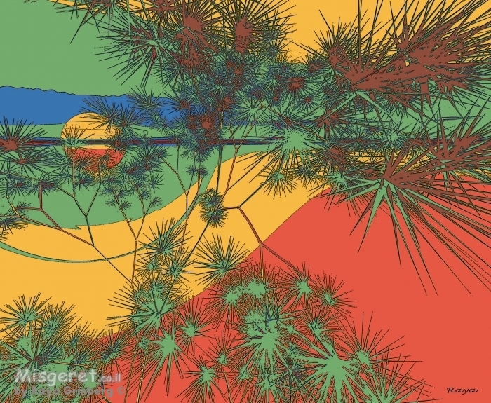 שקיעה במדבר