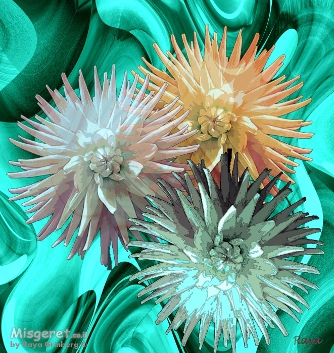 פריחה קוצנית