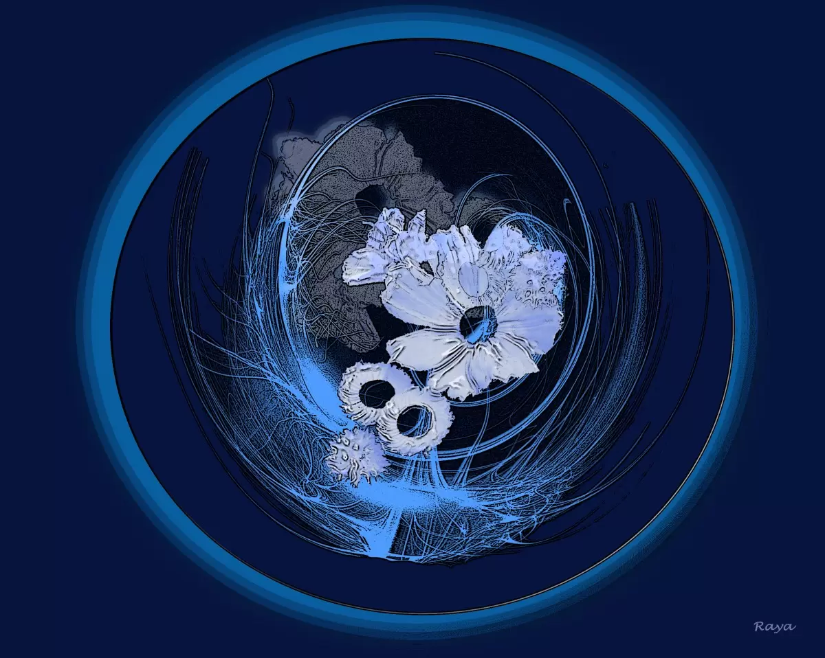 כחול וכחול - רעיה גרינברג - חדר שינה כחול עמוק מופשט מעגלי  - מק''ט: 347943