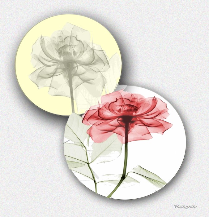 דואט בשניים