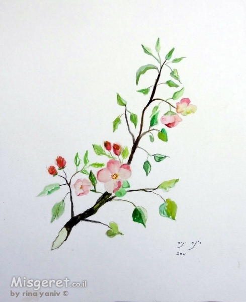 פריחת הדובדבן