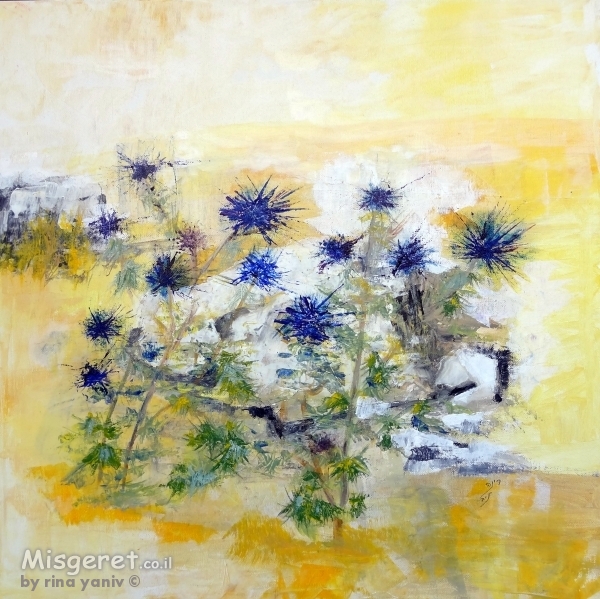 קיפודן פורח בעמק יזרעאל