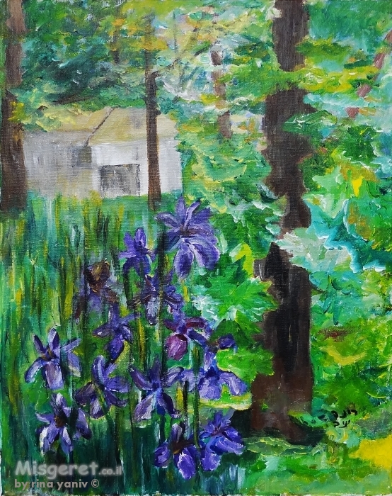 פריחת האירוסים