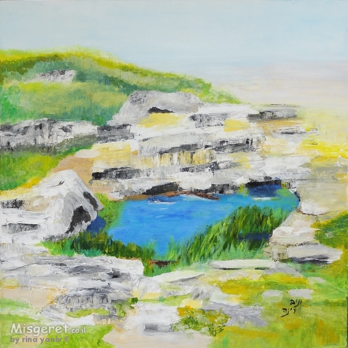 שלולית החורף