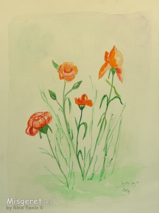 פרחי שדה 1