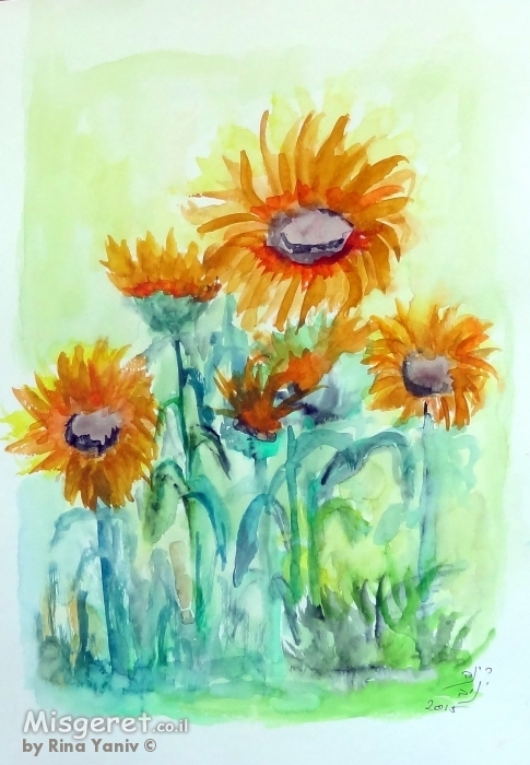 חמניות בשדה 2