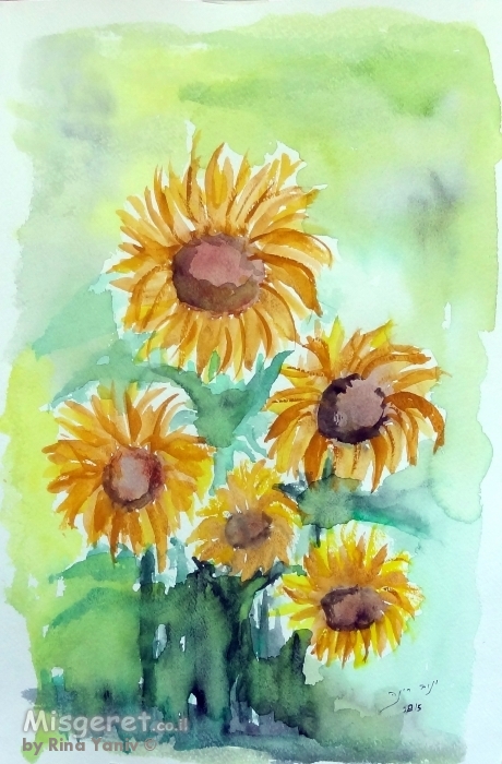 חמניות בשדה 3