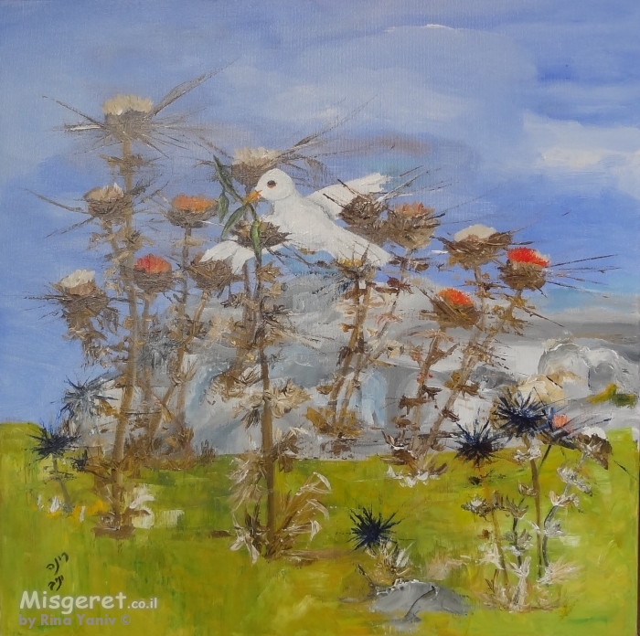 מה קרה ליונת השלום?