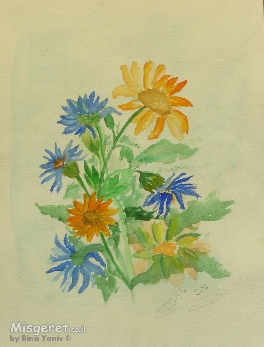 פרחי מרגנית