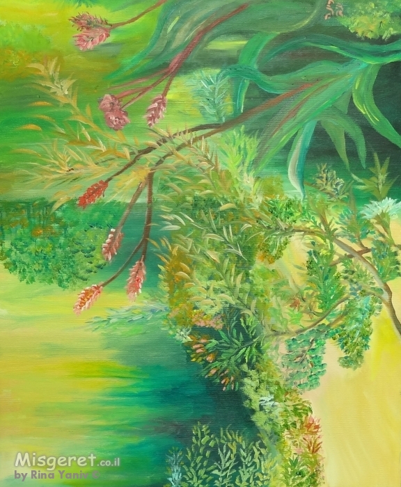 צמחים בגינה