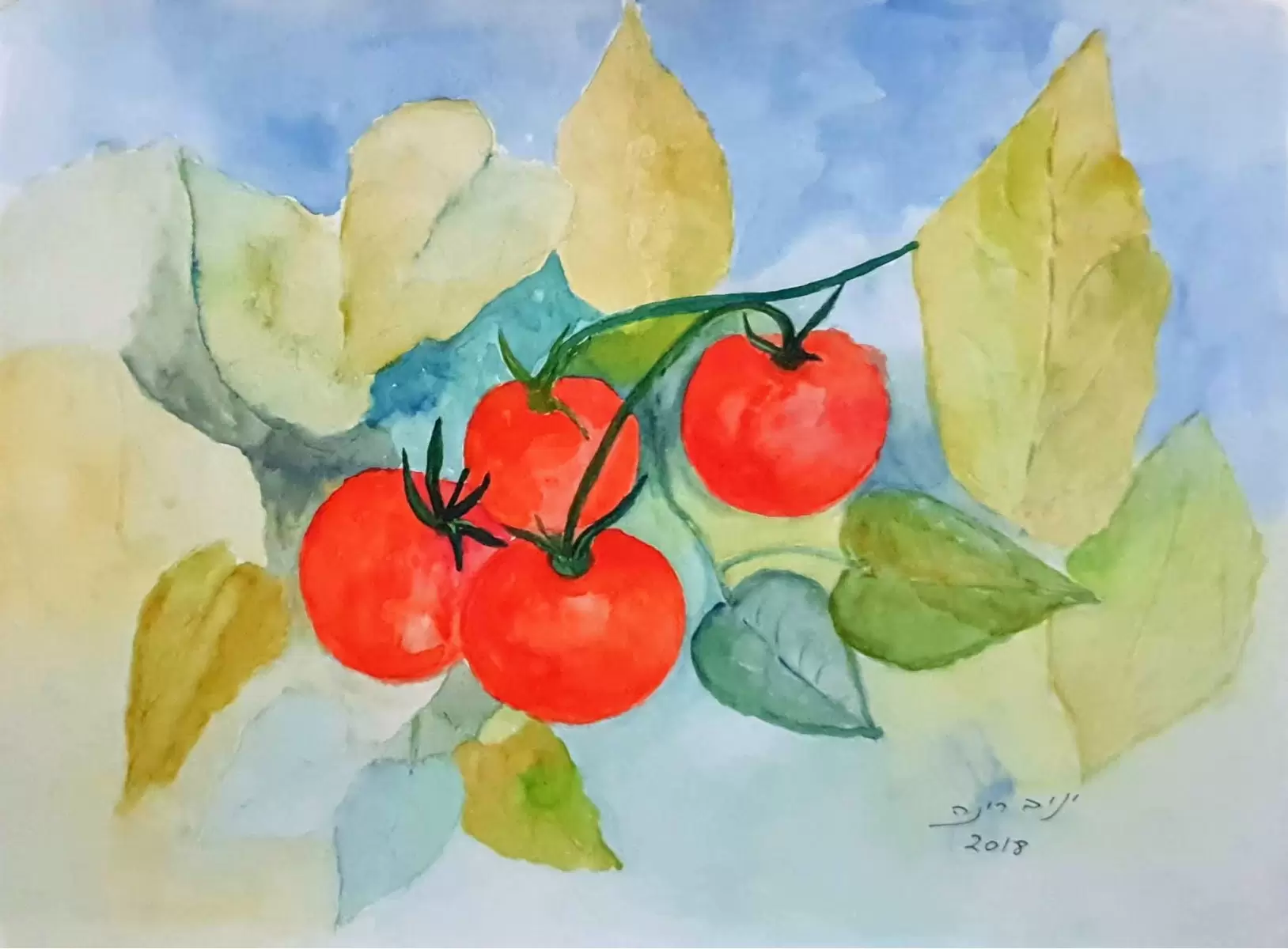 עגבניות - רינה יניב - תמונות למטבח כפרי צבעי מים  - מק''ט: 327844