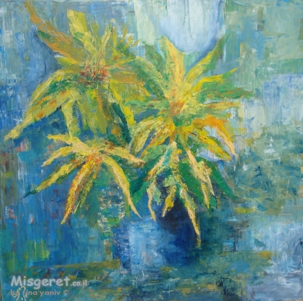 פריחה בצהוב