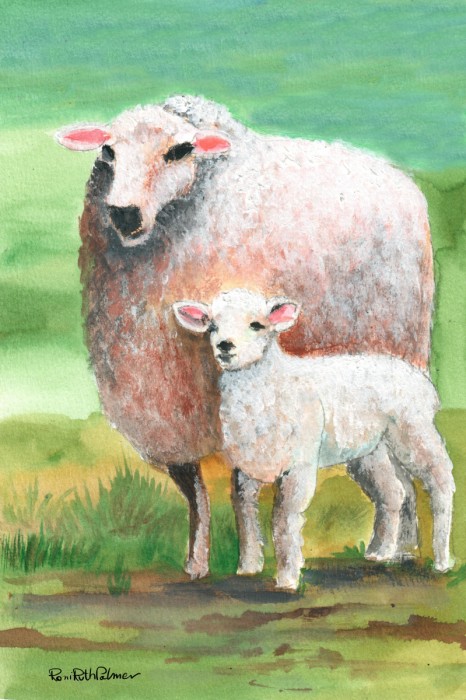 כבשה וטלה