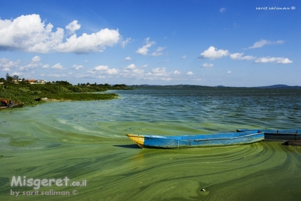 פסטורלי אוגנדה