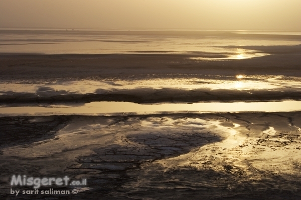 זהב על הירח