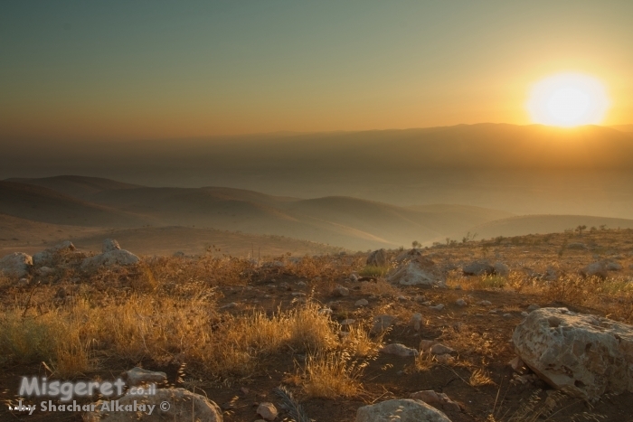 הדמיית תמונה על קיר