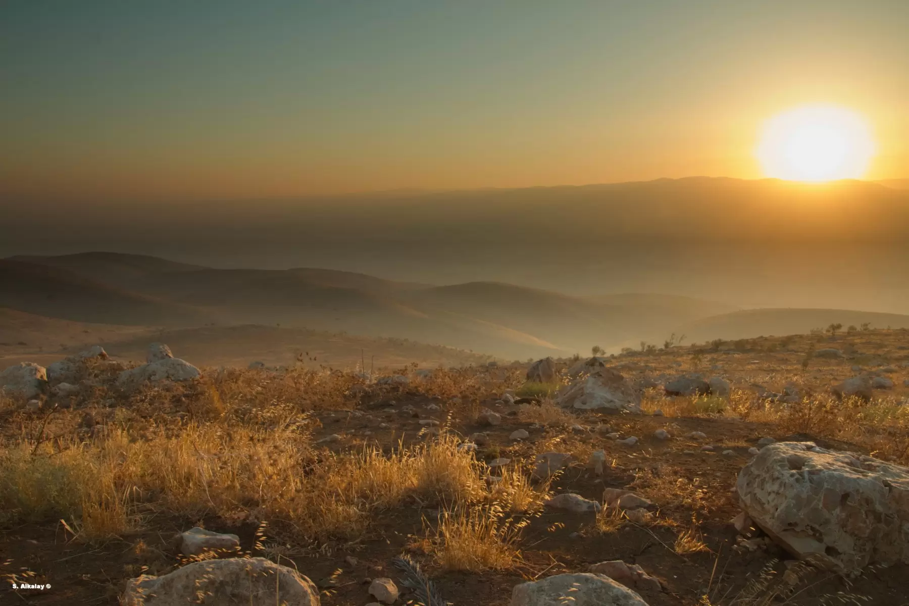 בראשית – שחר אלקלעי | תמונה לסלון בסגנון כפרי