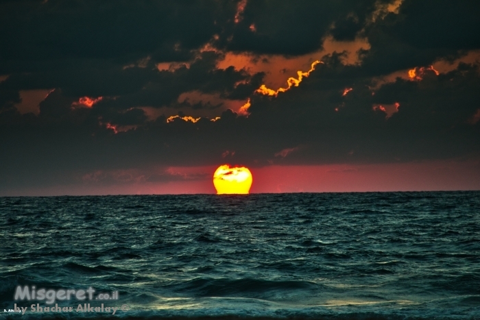 בין מים לשמיים