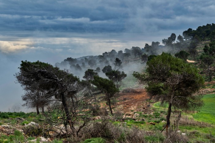 ערפילי גלבוע