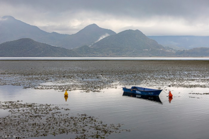 סירה כחולה באגם