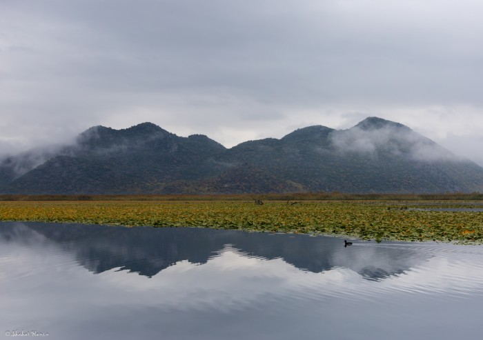 השתקפות באגם