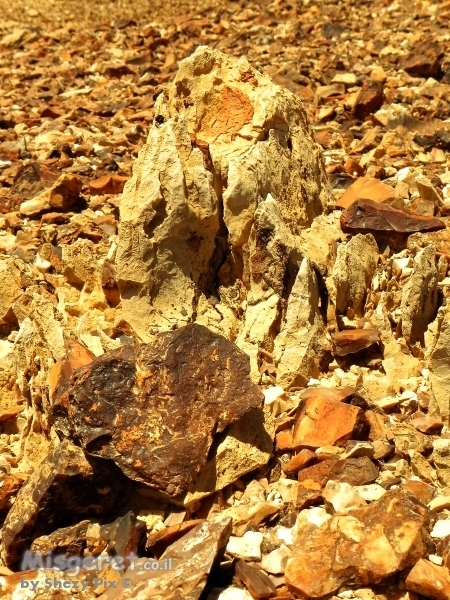 סלעים ואבנים