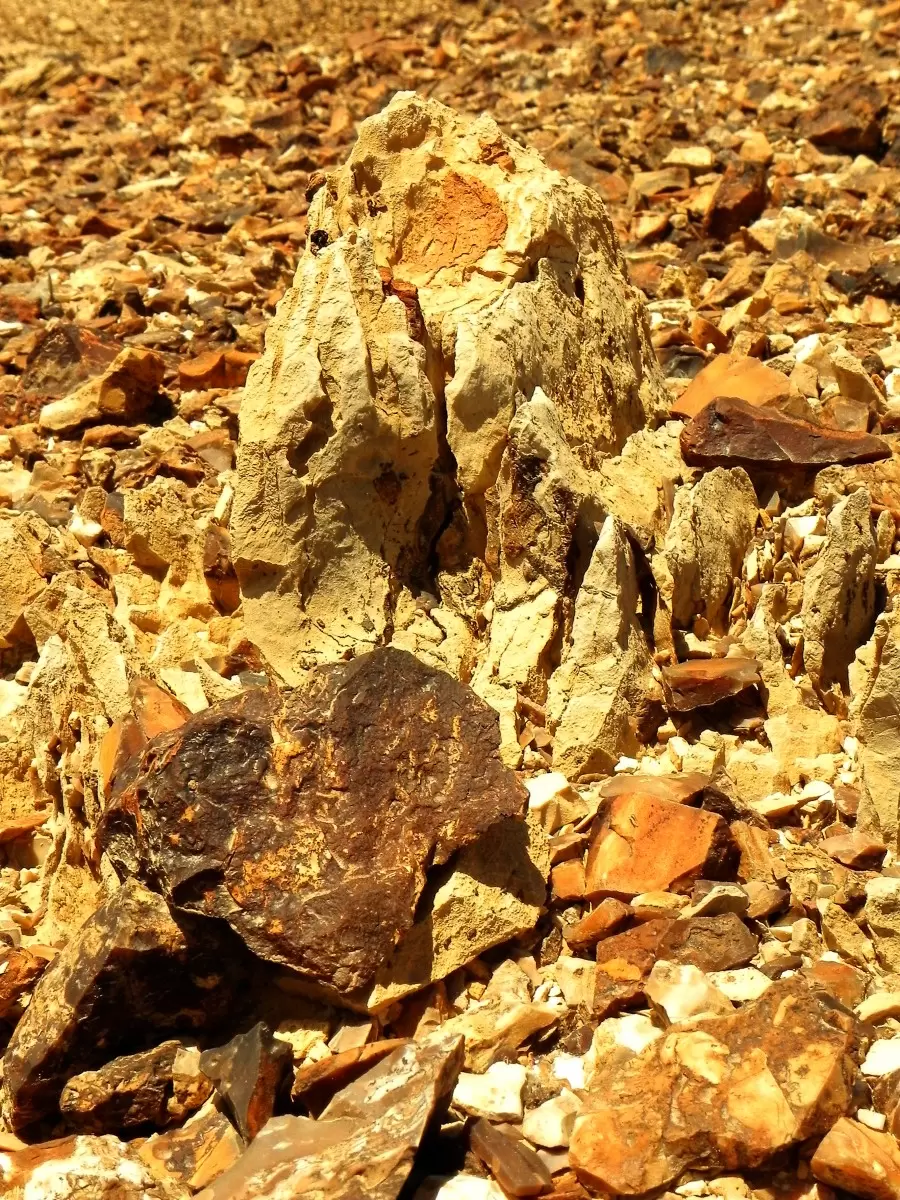 סלעים ואבנים - משה יפה -  - מק''ט: 156833