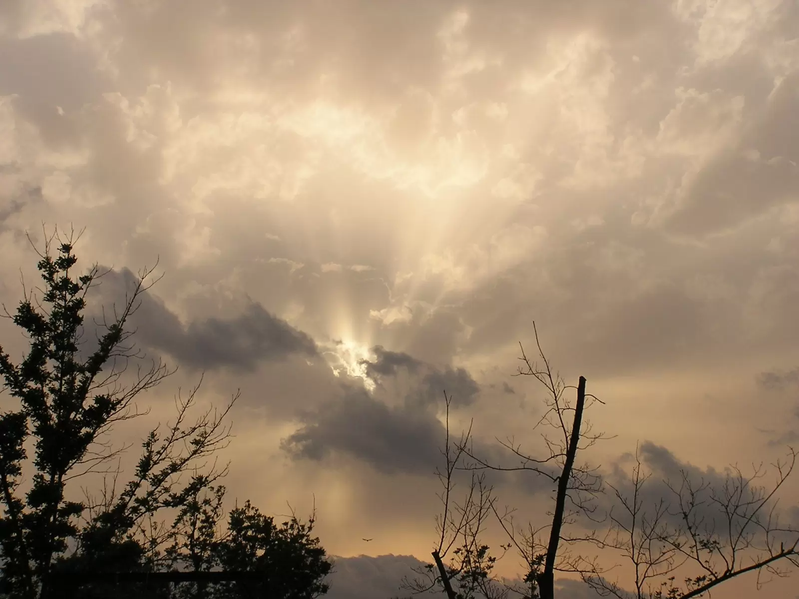 שקיעה בשמיי ענן - משה יפה -  - מק''ט: 3635