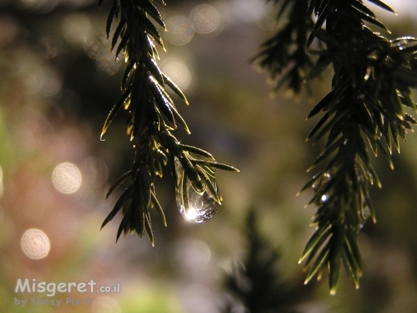בוקר קריסטלי