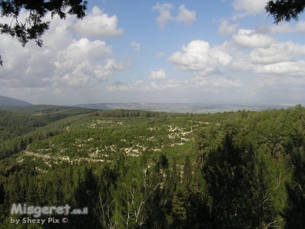 ארופה-ישראל