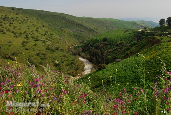 הירדן ההררי