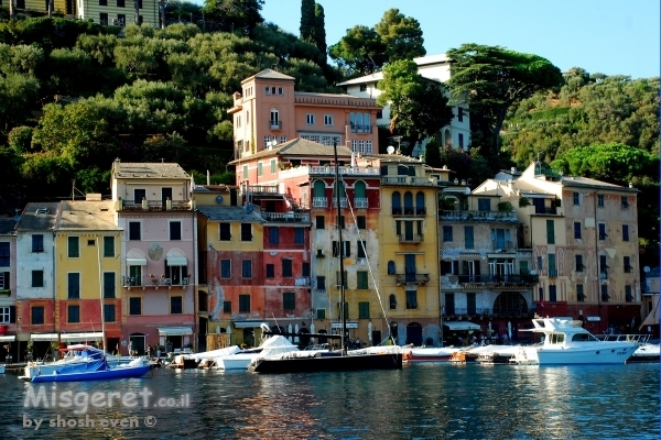 פורטופינו 2