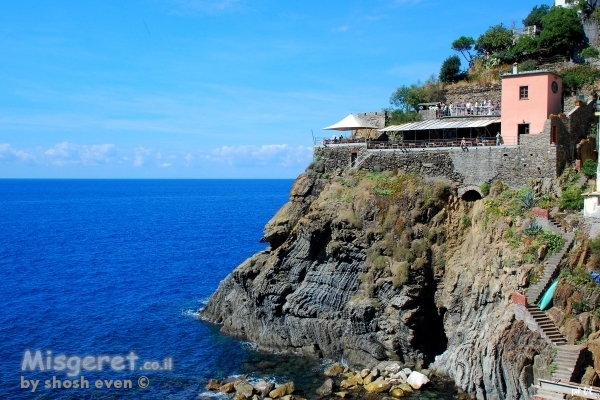 צינקווה טרה