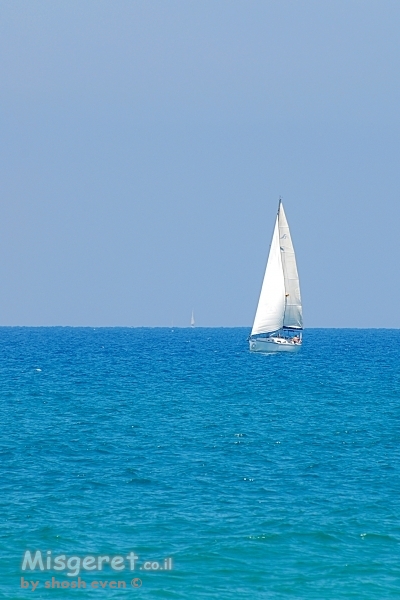שוטי שוטי ספינתי