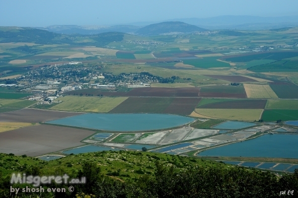 תצפית