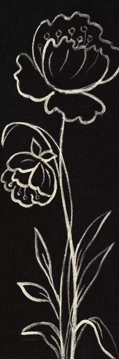 פרח גיר שחור לבן - Silvia Vassileva - תמונות לחדר רחצה מינימליסטי  - מק''ט: 385405