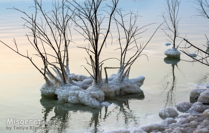ים המלח