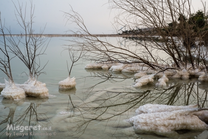 ים המלח