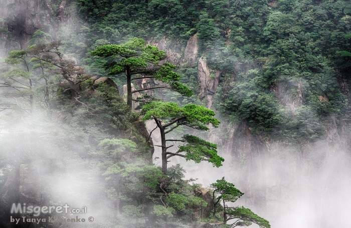 ההר הצהוב - Huangshan